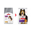 Hill's™ Science Plan™ Sensitive Stomach & Skin Medium & Large with Chicken Dog Food (556534857794)